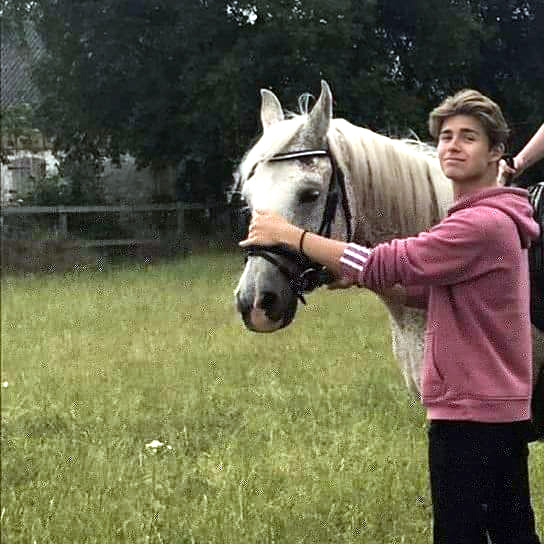 Et kongerige for en hest!